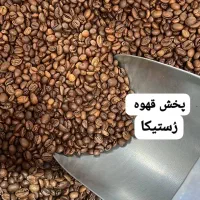 پخش عمده و جزئی انواع دان قهوه با کیفیت|عمده‌فروشی|اهواز, شهرک اکباتان|دیوار