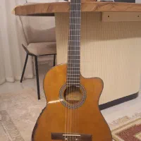 گیتار Maryar همراه با هارد کیس استخوانی