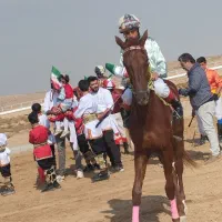 اسب ترکمن نریون|اسب و تجهیزات اسبسواری|جوین, |دیوار