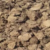 کود پهن گوسفند