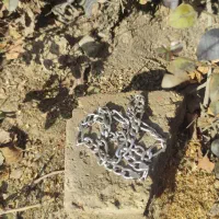 زنجیر نقره رضوی|جواهرات|اصفهان, پوریای ولی|دیوار