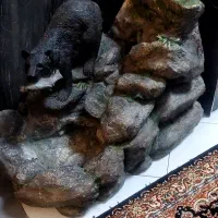 اب نما بزرگ