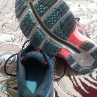 کفش|کیف، کفش، کمربند|اردبیل, |دیوار