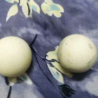 گوی اعصاب