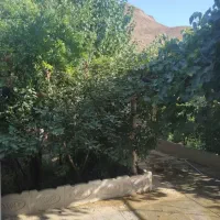 فروش-خونه-باغ-گچه-فوری