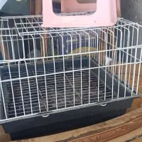 ۵ عدد قفس|لوازم جانبی حیوانات|هشتگرد, تهران دشت|دیوار