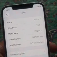 آیفون ۱۲ نرمال|موبایل|یزد, |دیوار