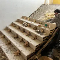بنا،بنایی،سرامیک کار، سیمانکار، گچکار|خدمات پیشه و مهارت|نجف‌آباد, باغ ملی|دیوار