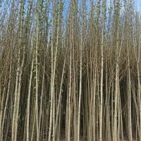 شروعی مطمئن برای کشاورزی سودآور