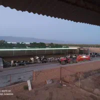 گاوداری و950راسی نیشابور|فروش دفتر صنعتی، کشاورزی، تجاری|نیشابور, ابراهیمی|دیوار