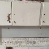 کابینت|آب‌چکان و نظم‌دهنده ظروف|بیجار, |دیوار