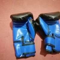 دستکش رزمی|تجهیزات ورزشی|شیراز, شهرک مهدیه|دیوار