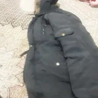 کوت درنوبیدون اریا