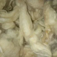 پشم گوسفند