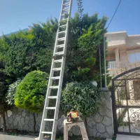 باغبانی و هرس درختان و لاوسون|خدمات باغبانی و درختکاری|سرخرود, |دیوار