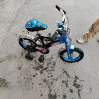 دوچرخه 20سالم دوچرخه 12 اسکوتر|دوچرخه، اسکیت، اسکوتر|نجف‌آباد, معرفت|دیوار