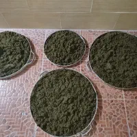 سبزی خورشتی درجه یک رامهرمز فقط کیلو65