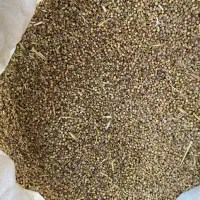 گشنیزه سبز درجه یک