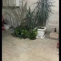 همخونه