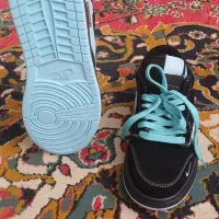 کفش|کیف، کفش، کمربند|گناباد, |دیوار