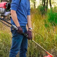 علف تراشی تخصصی باغ و حیاط منزل|خدمات باغبانی و درختکاری|لاهیجان, قیام|دیوار