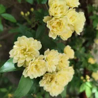 فروش-خانه-کلنگی-در-سهل-آباد