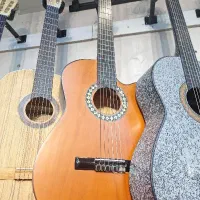 انواع گیتار