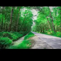 راهنمایی تفریح