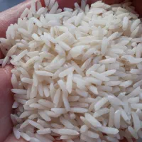 برنج هاشمی خوش عطر و پخت از شفت