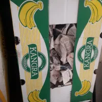 تعداد ۷ عدد جعبه موز