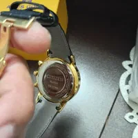 ساعت ست سیتیزن|ساعت|پرند, فاز ۵|دیوار