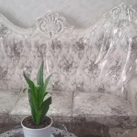 مبل سلطنتی در حد نو نه نفره