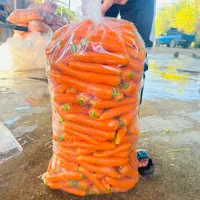 هویج عمده آبگیری مغازه درجه یک میدان تره بار مرکزی|خوردنی و آشامیدنی|تهران, میدان میوه و تره‌بار مرکزی|دیوار