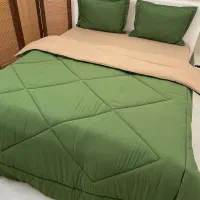 روتختی میکرو پتینه