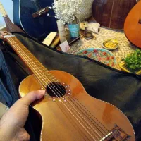 گیتار له له سفری نفیس بی نقص با کیف