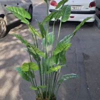 حراج(گل و درختچه مصنوعی خارجی) به مناسبت روز مادر|گل مصنوعی|تهران, تهرانسر شمالی|دیوار