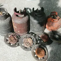 پیک نیک نو  سالم