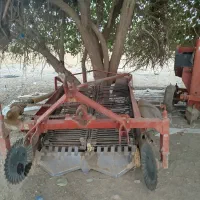 فروش سیب کن و سیبکار