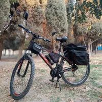 دوچرخه ویوا ۲۹