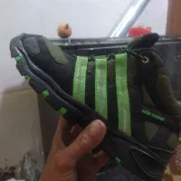 ورزشیرایگانیهجفترایگاناماباشرایطزیربخوانید