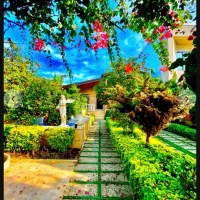 *700میلیون زیرقیمت*باغ جنگلی کوهستانی/پردرخت میوه|فروش خانه و ویلا|امامزاده عبدالله, |دیوار