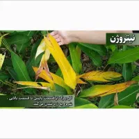 محصولات سبوسیب اسیدهیومیک محرک رشد|گل و گیاه طبیعی|شیراز, دباغ خانه|دیوار