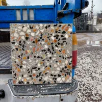 موزائیک حیاط و پارکینگ