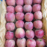 فروش 60 تن سیب 100%100 ارگانیک داخل سردخانه