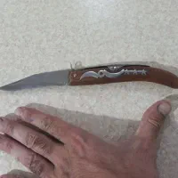 چاقوی آشپزخانه.