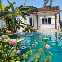 زمین-ویلا-سند-دار-سلخ