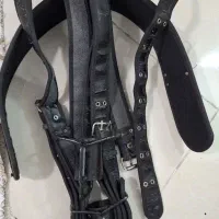 هیکلی