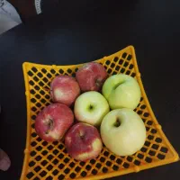 محصولات کشاورزی