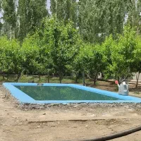 باغچه/ویلا/استخردار/سعیدآباد|فروش خانه و ویلا|هشتگرد, ایقربلاغ|دیوار