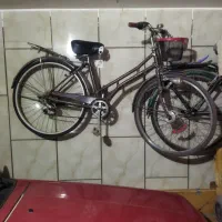 دوچرخه خارجی سان فلاور